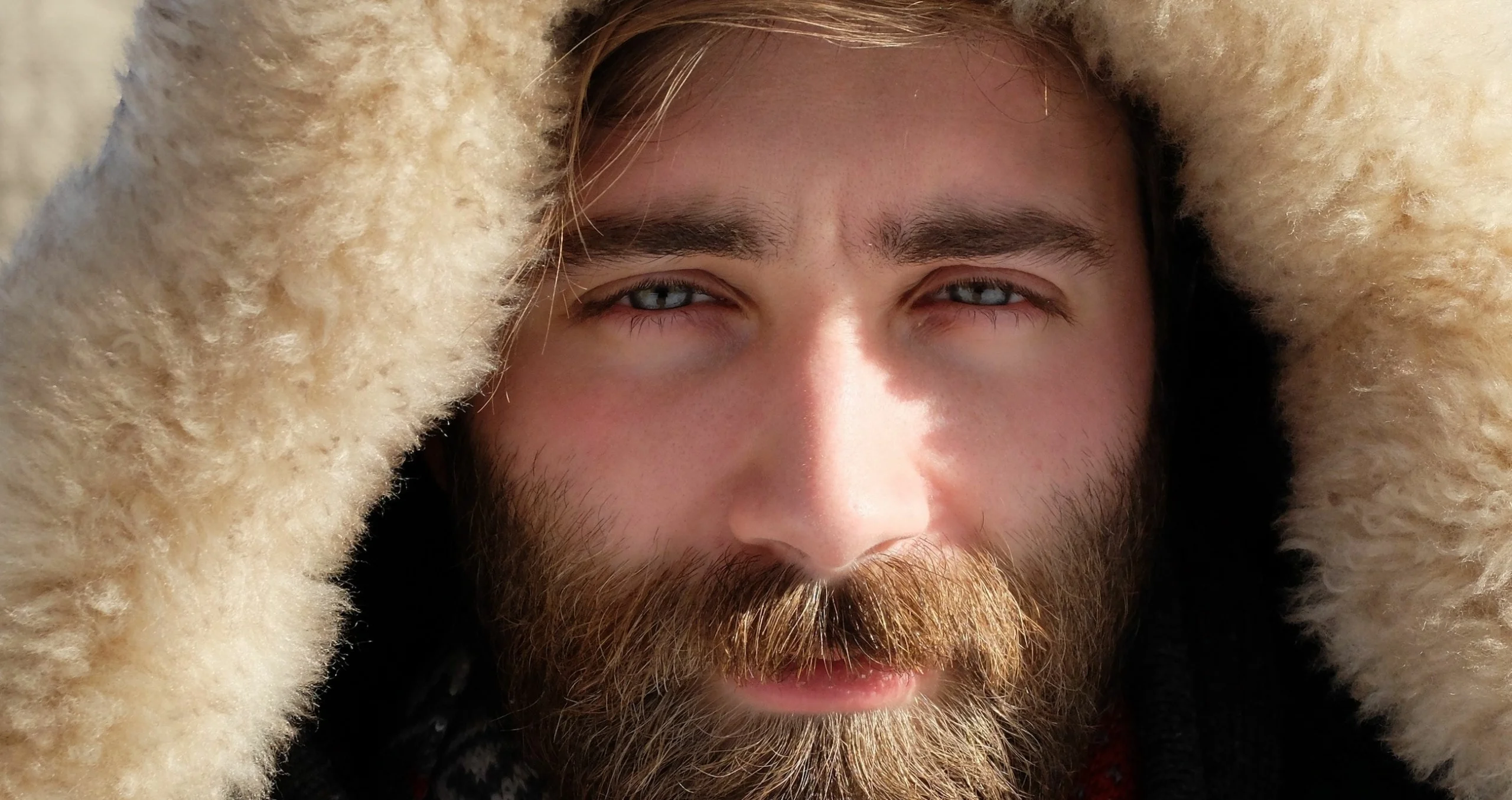 Norwegian translation and language services Transly Translation Agency