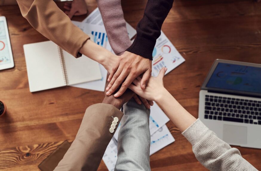 Motivated translators and reasonable price